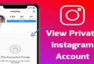 How To See Private Instagram Account 2023
